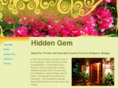 hiddengem.es