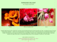 theorangecountyflorist.com