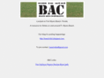 beachniks.com