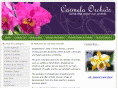 carmelaorchids.net