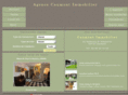 caumontimmobilier.com