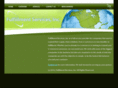 fulfillmentservicesinc.com