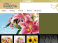 mikesblooms.com