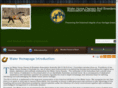 walerhorses.com