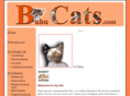 bubucats.com