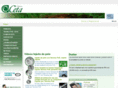 hairgraft.info