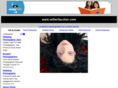 millerfaucher.com