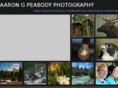 aarongpeabody.com