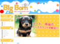 big-born.com