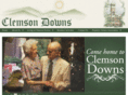 clemsondowns.com