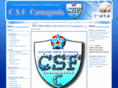 csfcarmagnola.com