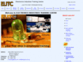 elitc.com