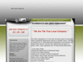 excellenceinautoglass.com