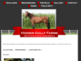 hiddengullyfarms.com