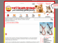 vetteamgroup.es