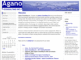 aganoconsulting.com