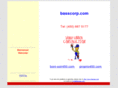 basscorp.com