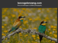 leovogelenzang.com