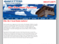 theraingutters.com