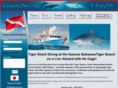 tigersharkdive.com