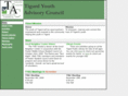 tyac.info