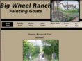 bigwheelranchfaintinggoats.com