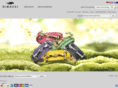 dimacci.com