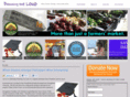 dreamingoutloudinc.org