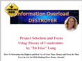 informationoverloaddestroyer.com