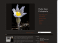 phyllisolsonphotography.com
