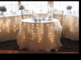 sunshinetentrentals.com