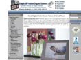 bestdigitalframesstore.com