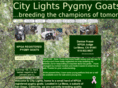 citylightspygmygoats.com