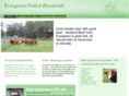 evergreenherefordbeef.com