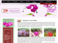 toyoorchids.com