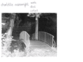 charlotte-wainwright.com