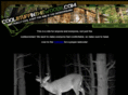 coolstuffinthewoods.com
