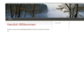 dittli.net