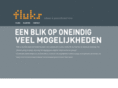 fluks.info