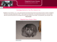 ridgefieldpetsitters.com
