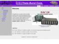 thetaburst.com