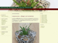 cryptocoryne.de