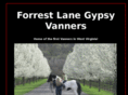 forrestlanegypsyvanners.com