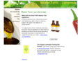 mastertonic.com
