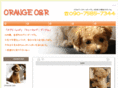 orange-or.com