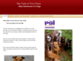 tailsoftwocities.com