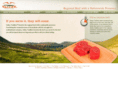 valleytraditions.com