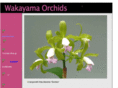 w-orchids.net