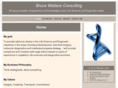 brucewallaceconsulting.com