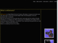 e4elements.com